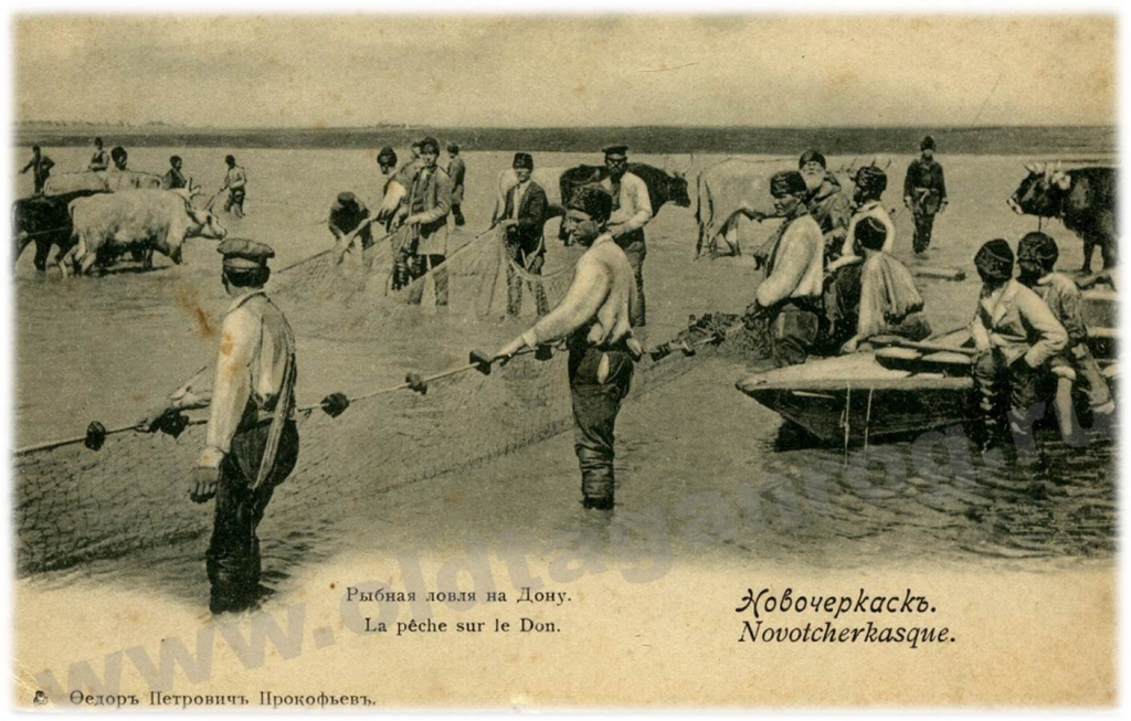 Рыбная ловля на Дону в начале XXв..jpg